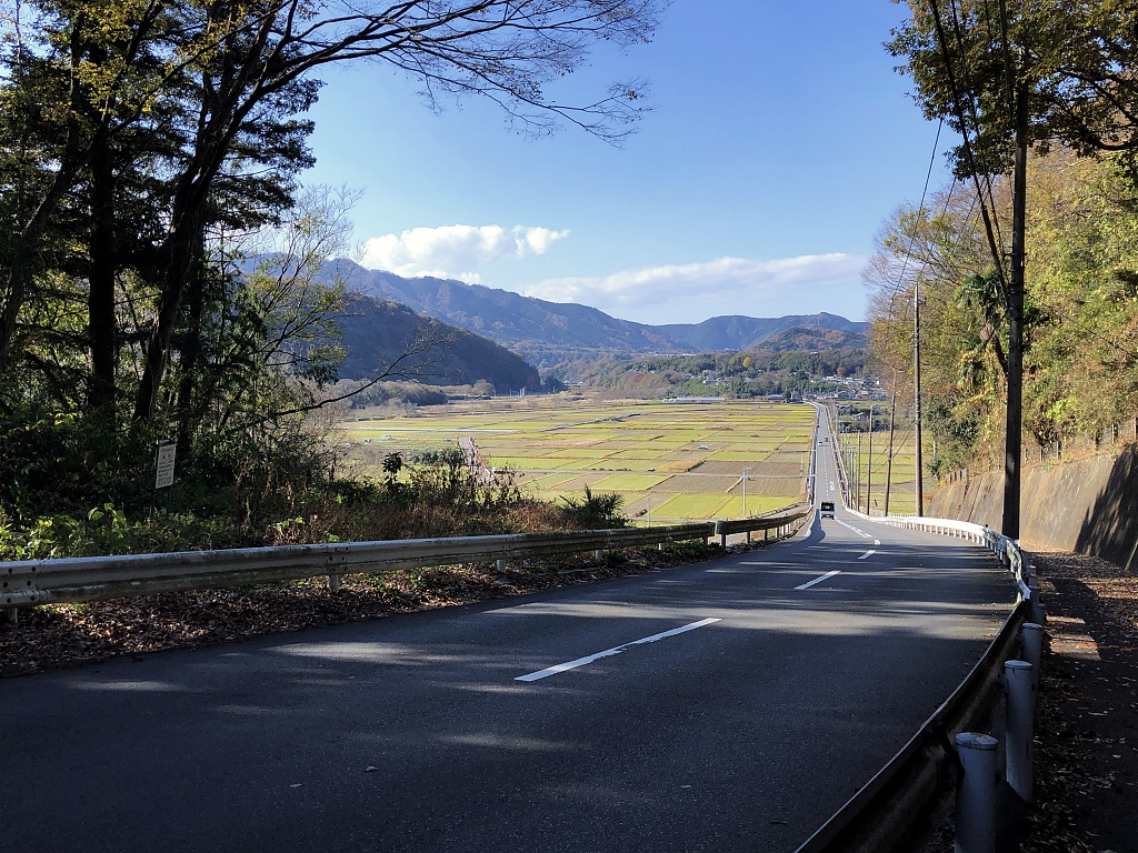 f:id:miwa3k:20210104131306j:plain