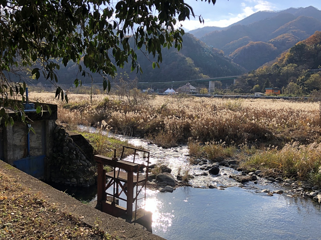 f:id:miwa3k:20210104131501j:plain