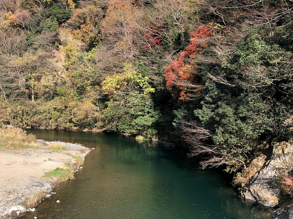 f:id:miwa3k:20210104131533j:plain
