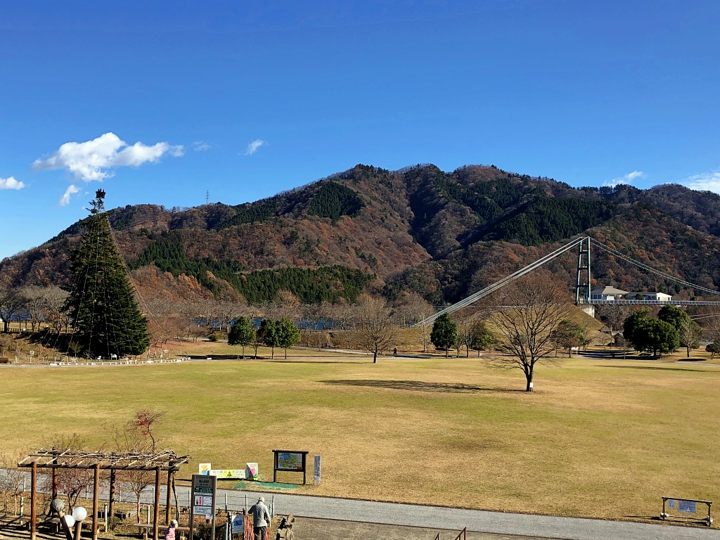 f:id:miwa3k:20210110131339j:plain