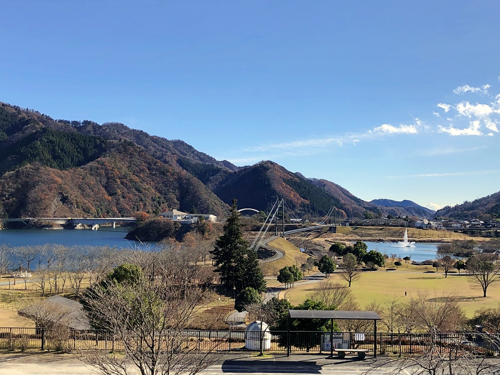 f:id:miwa3k:20210110131400j:plain