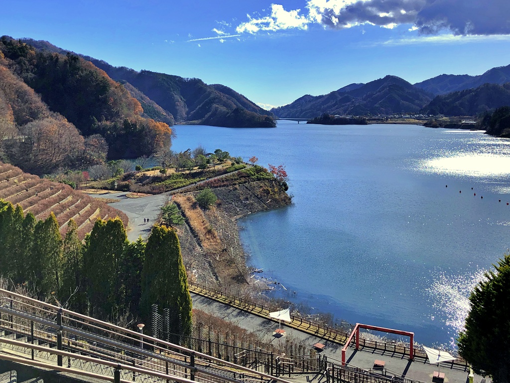 f:id:miwa3k:20210110131508j:plain