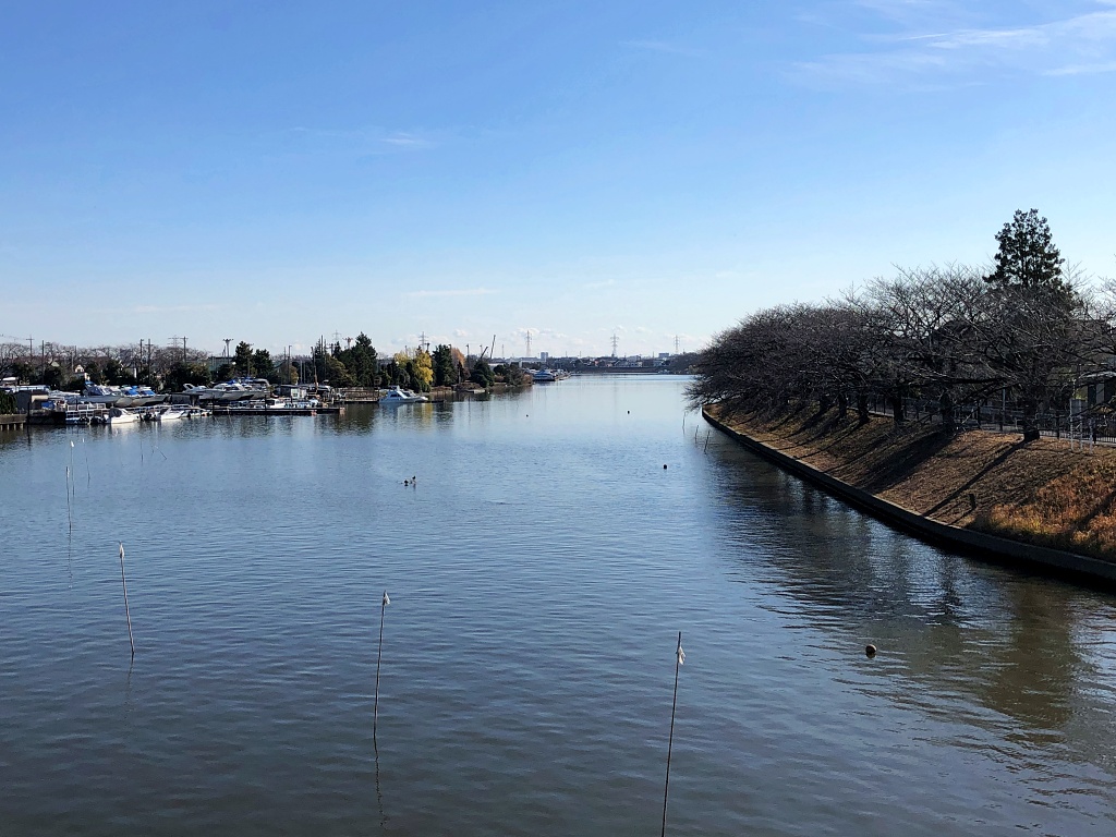 中川を歩く 葛飾立石から三郷放水路 - 散歩の途中