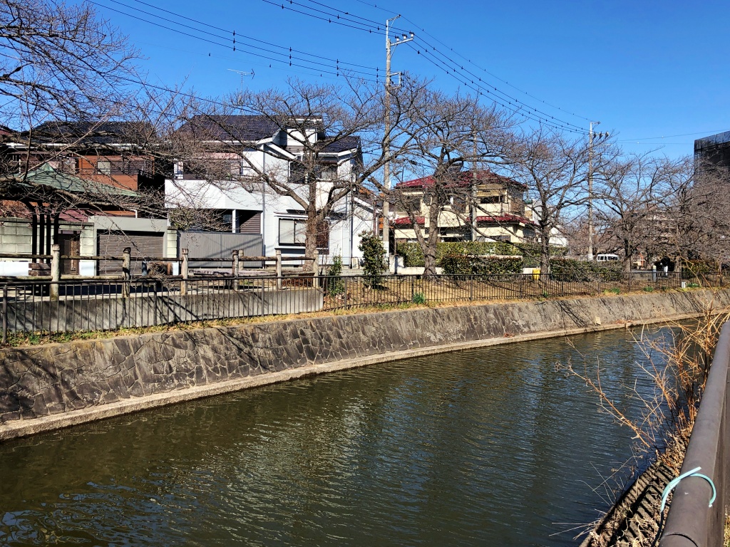 f:id:miwa3k:20210222131959j:plain