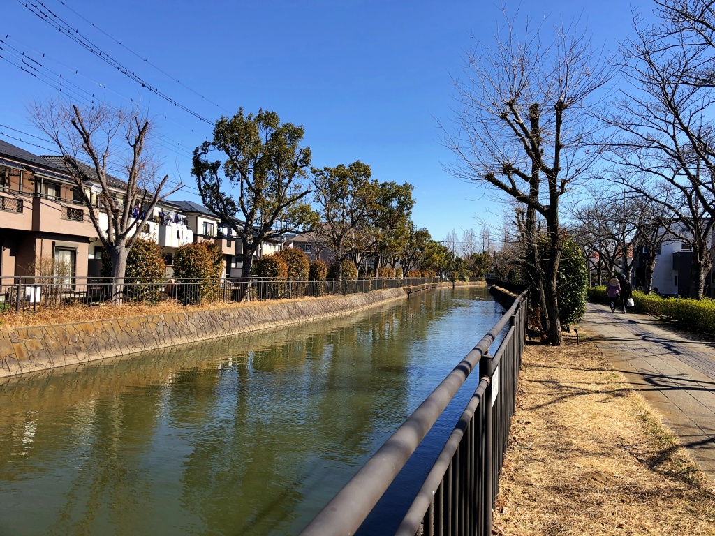f:id:miwa3k:20210222132033j:plain