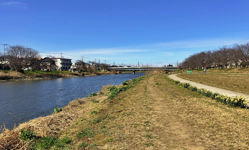 f:id:miwa3k:20210315135028j:plain