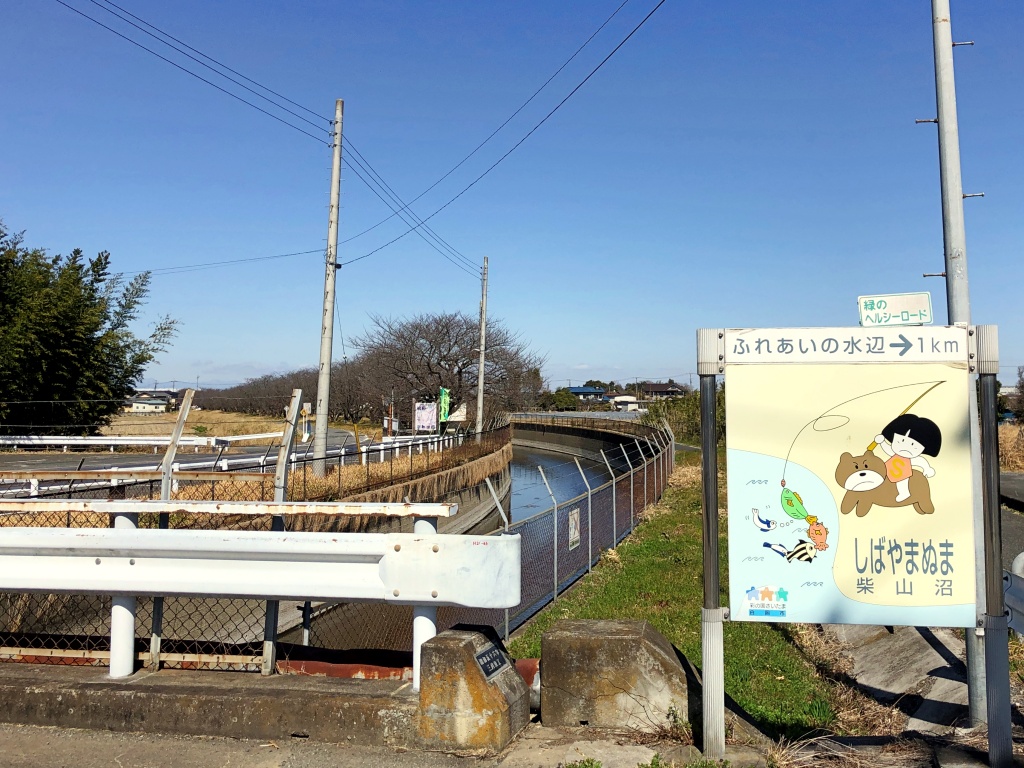 f:id:miwa3k:20210315135254j:plain