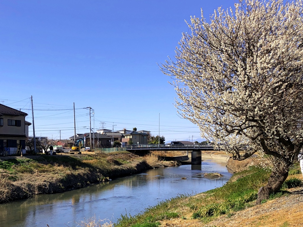 f:id:miwa3k:20210318201043j:plain