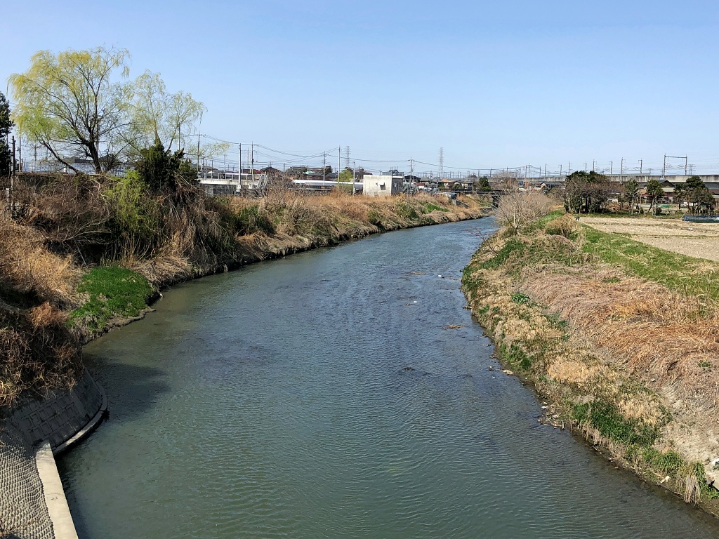 f:id:miwa3k:20210318201217j:plain