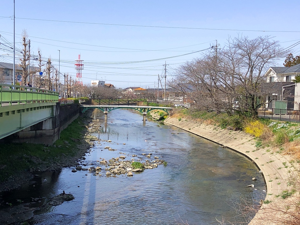 f:id:miwa3k:20210322162157j:plain