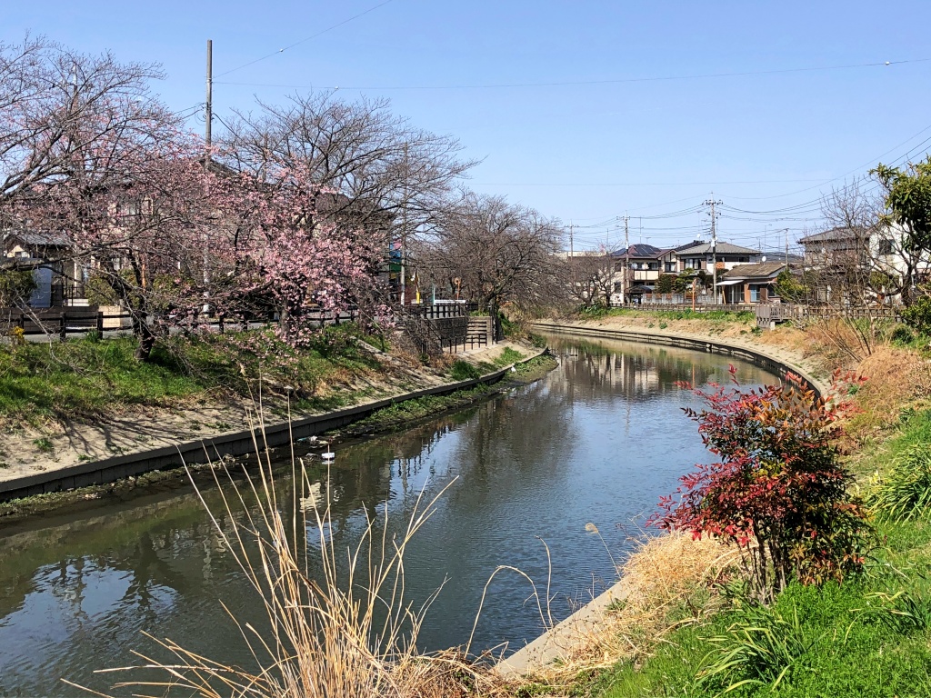 f:id:miwa3k:20210322162259j:plain