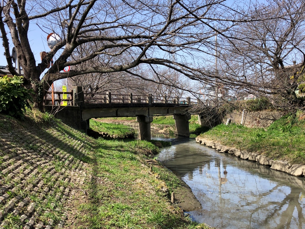f:id:miwa3k:20210322162533j:plain