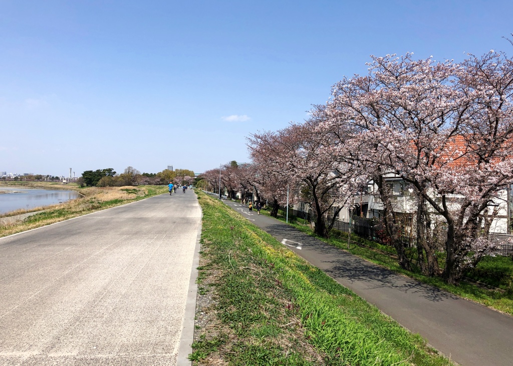 f:id:miwa3k:20210329130440j:plain