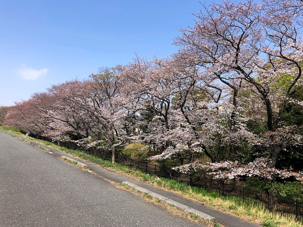 f:id:miwa3k:20210329130458j:plain
