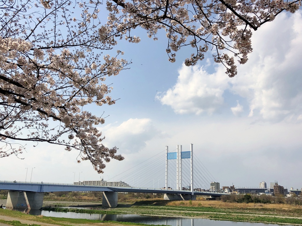 f:id:miwa3k:20210329130623j:plain