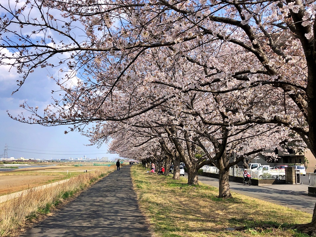 f:id:miwa3k:20210329130634j:plain