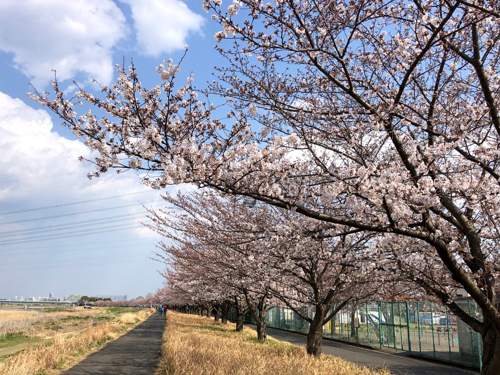 f:id:miwa3k:20210329130659j:plain