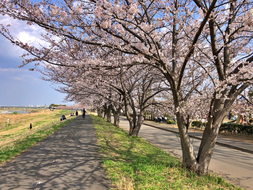 f:id:miwa3k:20210329130707j:plain