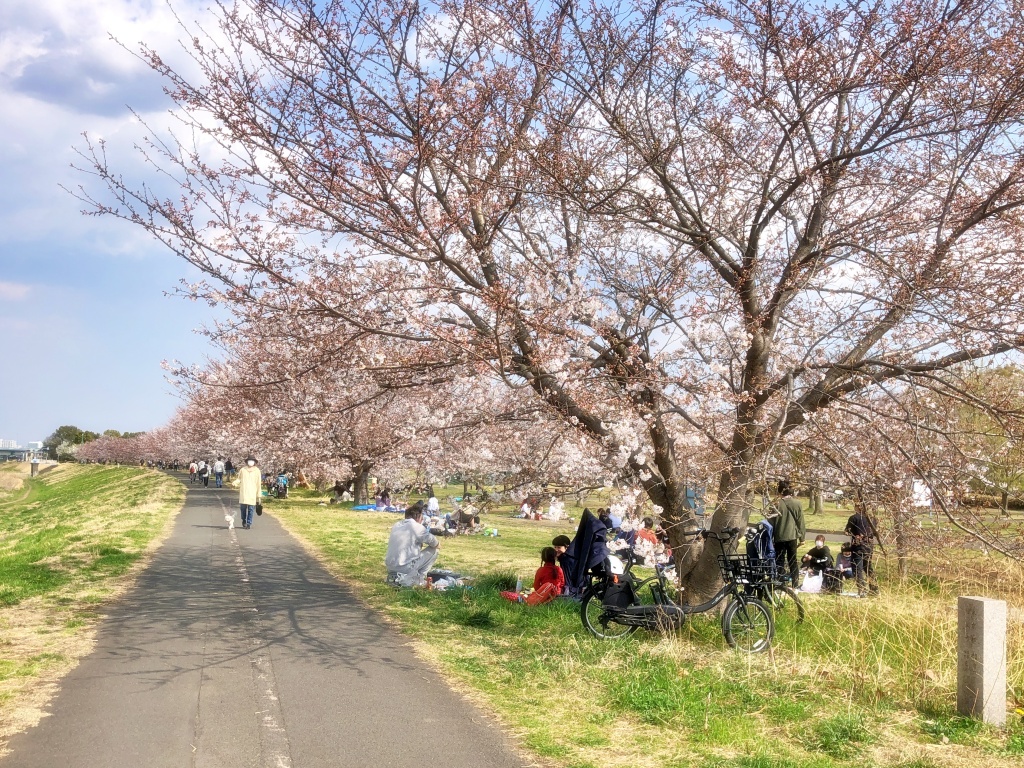 f:id:miwa3k:20210329130736j:plain