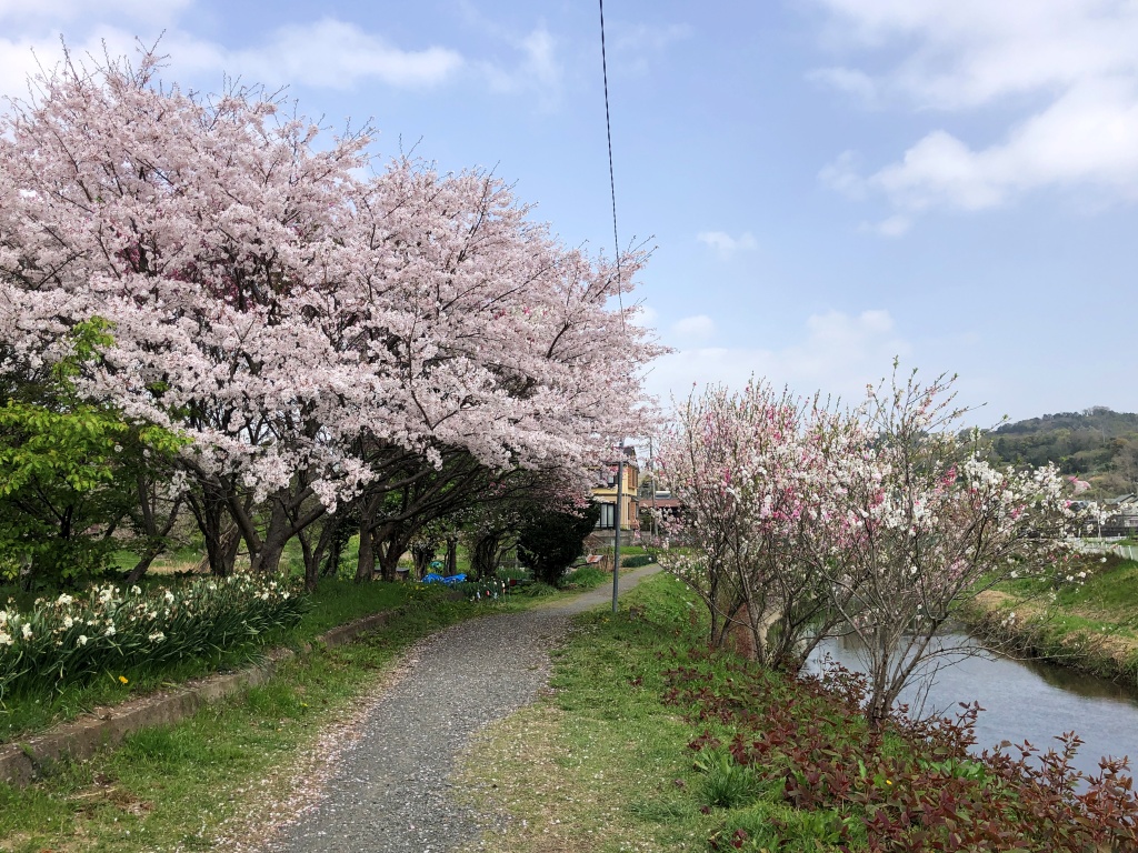 f:id:miwa3k:20210401112752j:plain