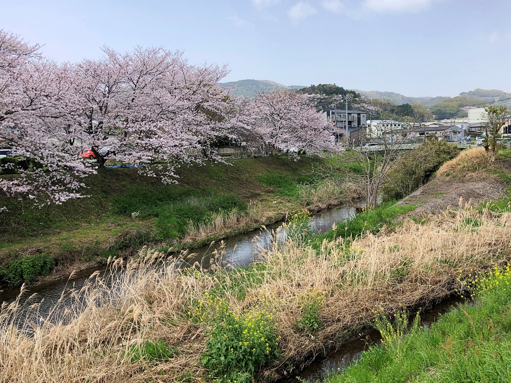 f:id:miwa3k:20210401112803j:plain