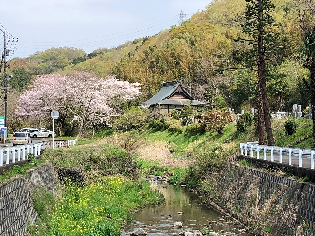f:id:miwa3k:20210401112825j:plain