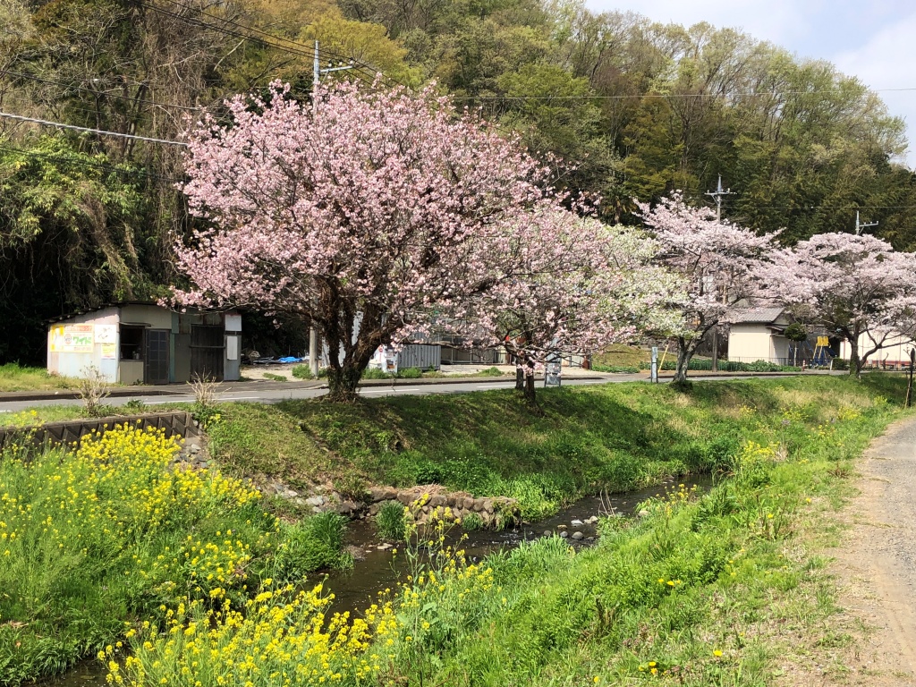 f:id:miwa3k:20210401112847j:plain