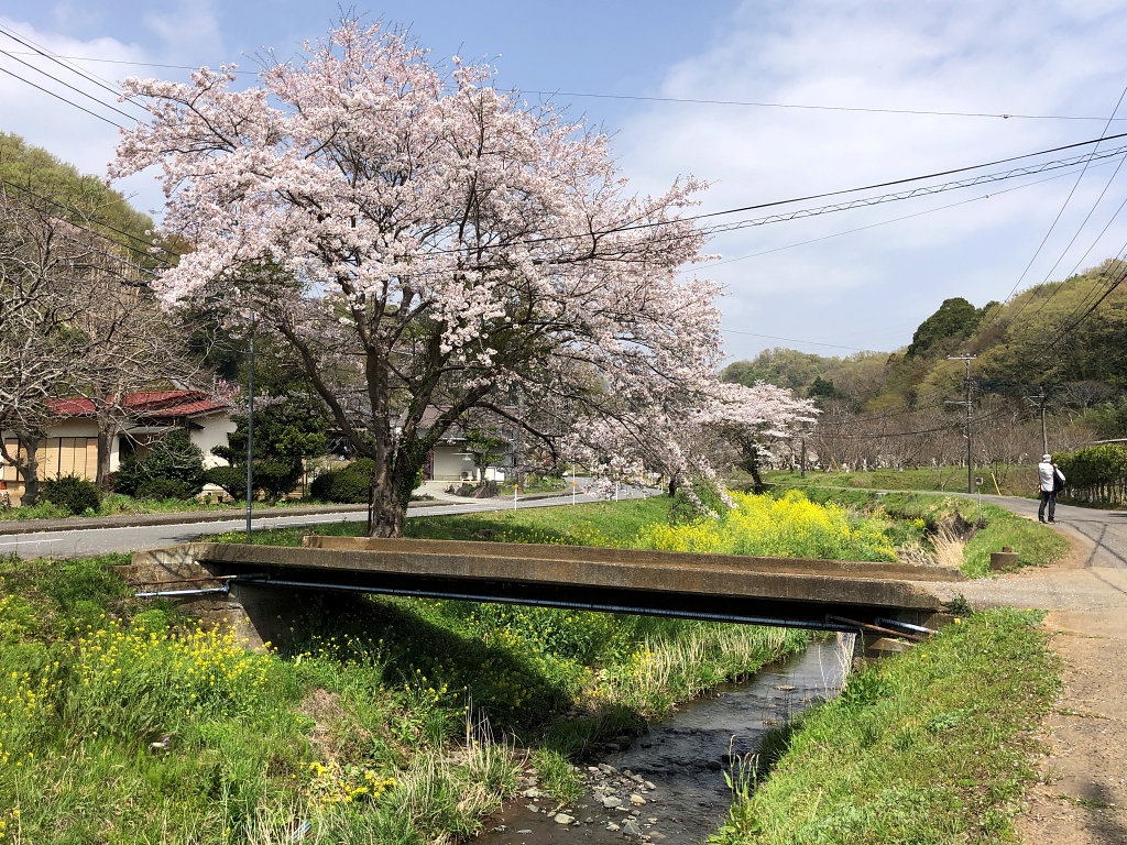 f:id:miwa3k:20210401112858j:plain