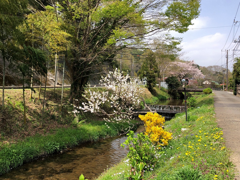 f:id:miwa3k:20210401112918j:plain