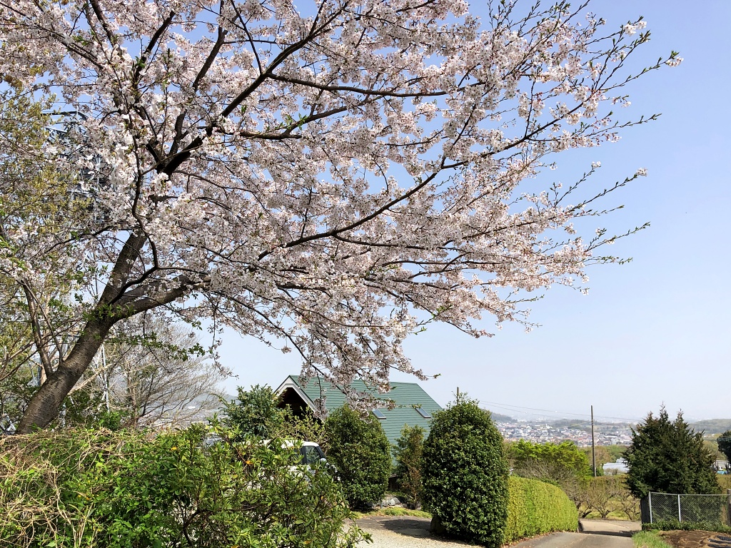 f:id:miwa3k:20210401113130j:plain