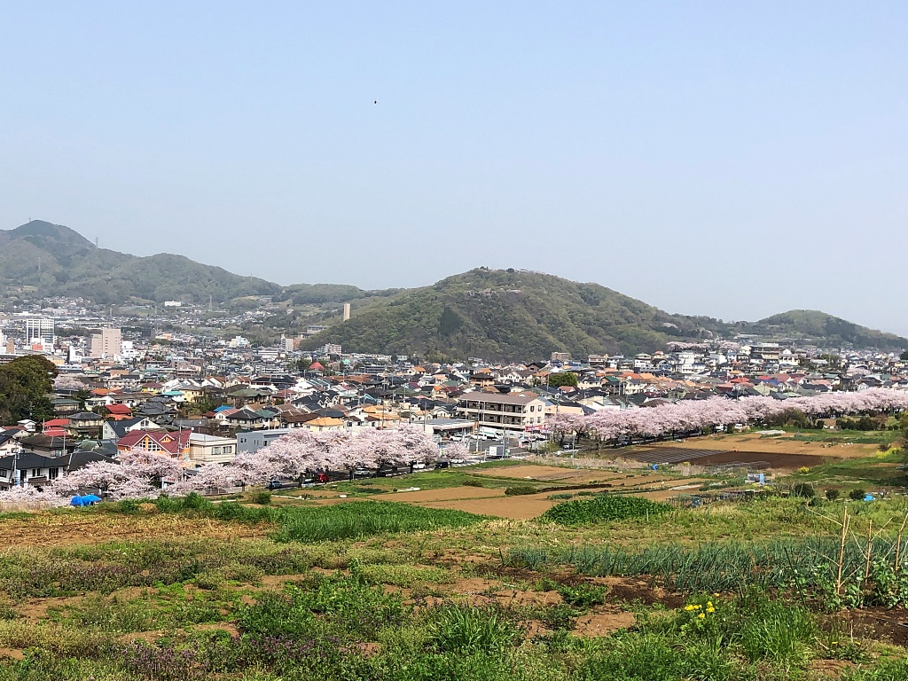 f:id:miwa3k:20210401113154j:plain