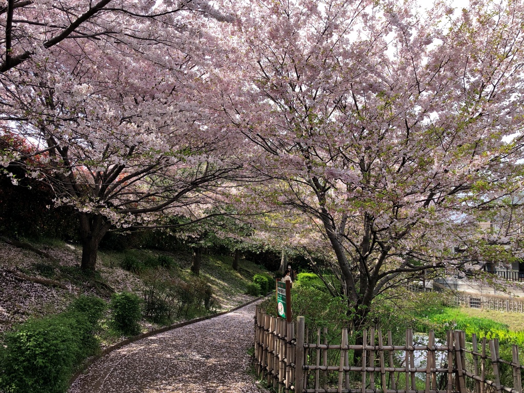 f:id:miwa3k:20210401113214j:plain