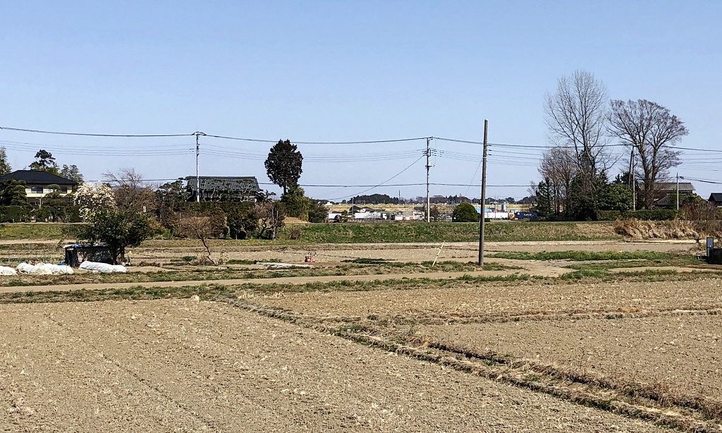 f:id:miwa3k:20210404125947j:plain