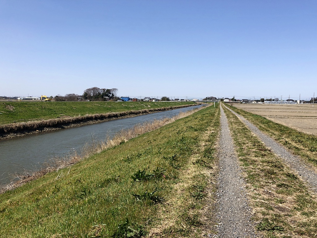 f:id:miwa3k:20210404130042j:plain