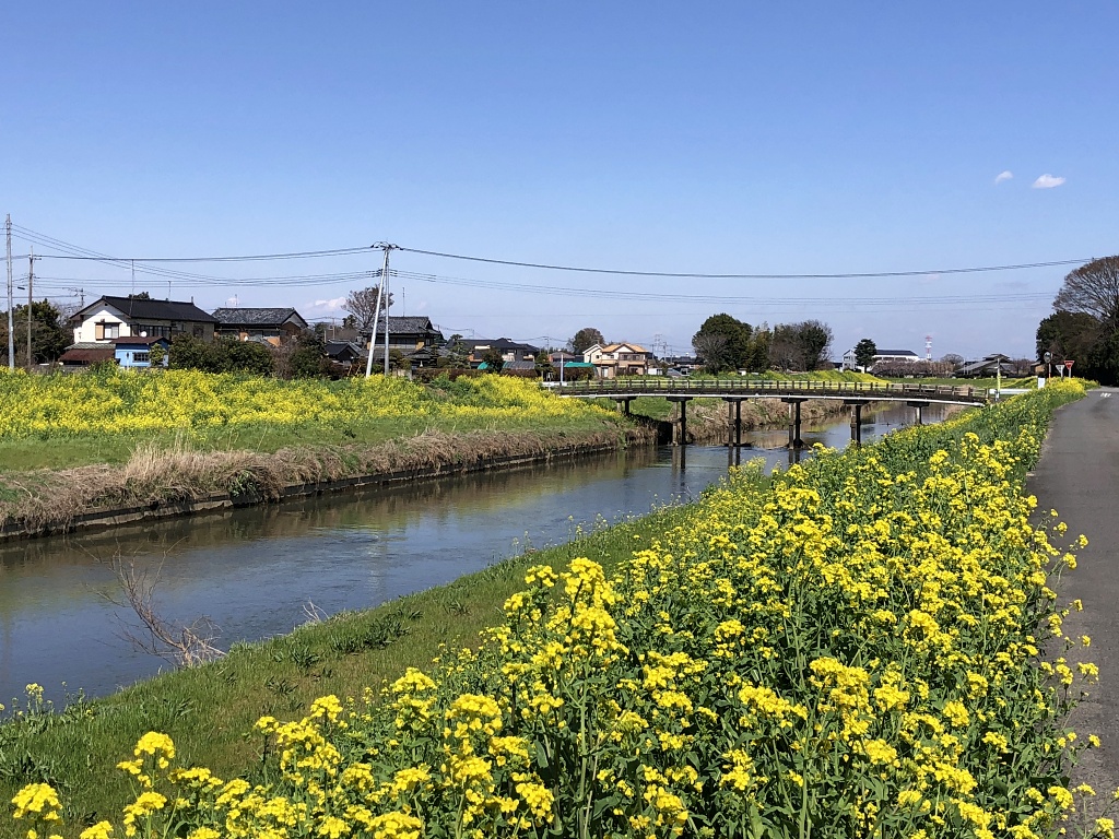 f:id:miwa3k:20210414111219j:plain