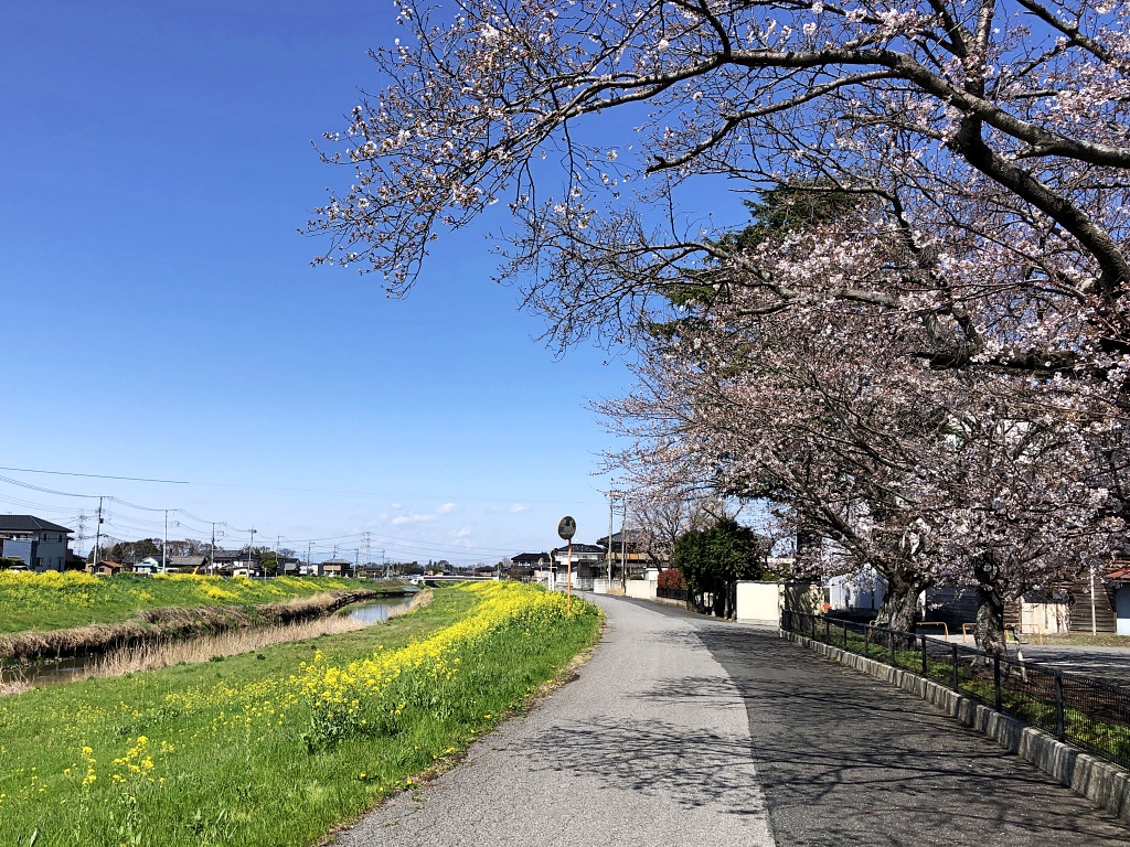 f:id:miwa3k:20210414111238j:plain