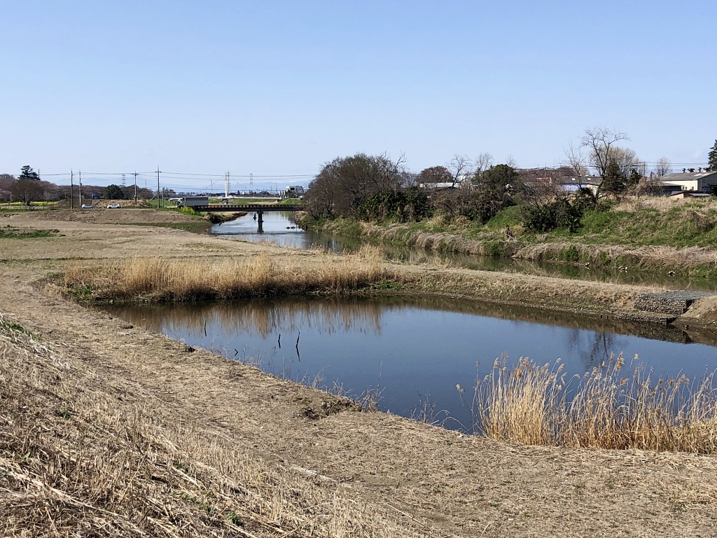 f:id:miwa3k:20210414111434j:plain