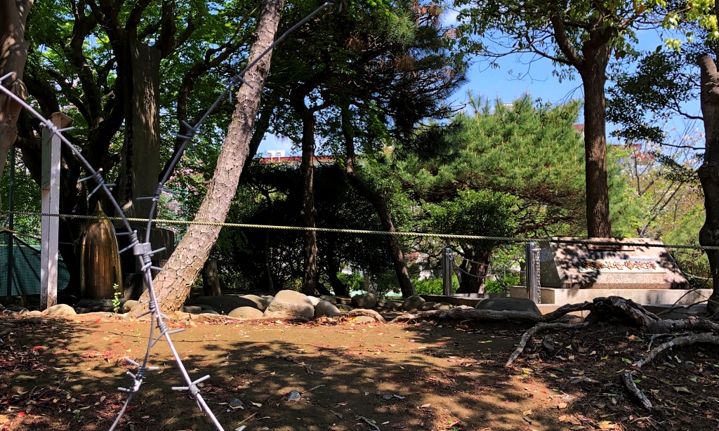 f:id:miwa3k:20210426111830j:plain