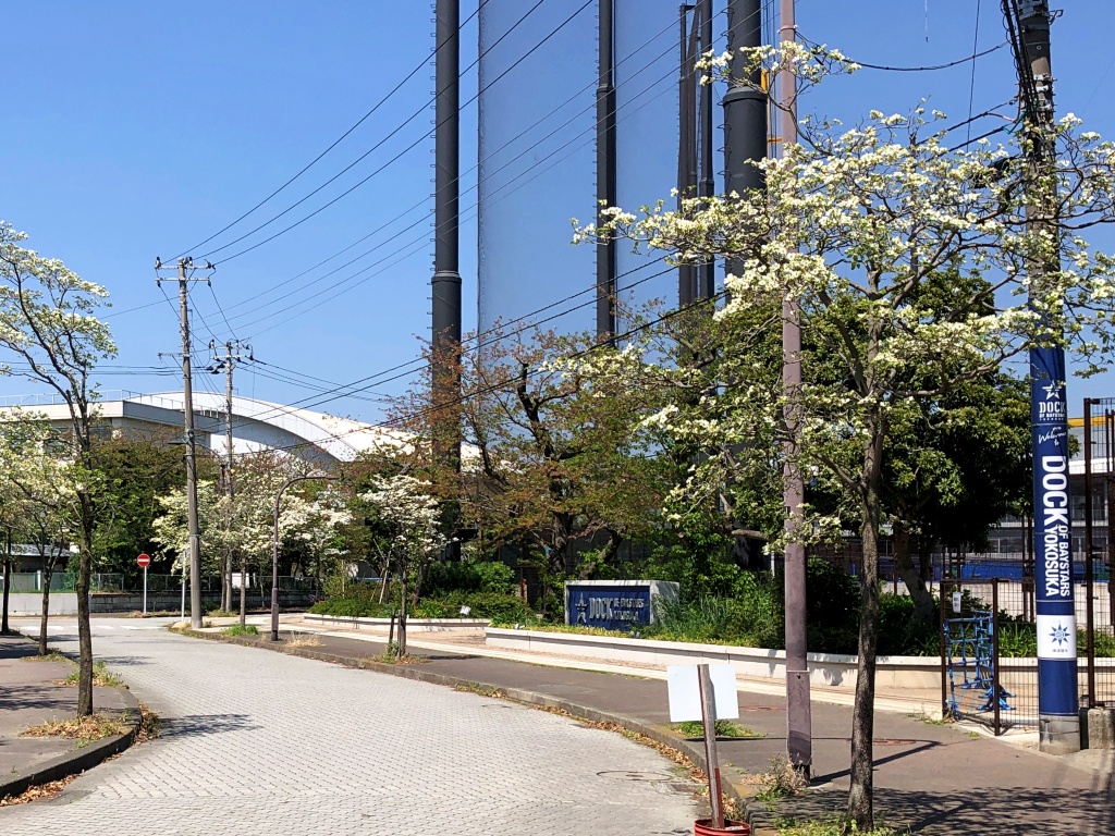 f:id:miwa3k:20210429161528j:plain