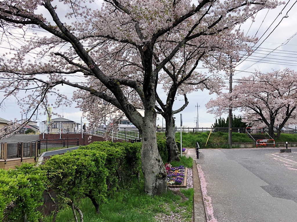 f:id:miwa3k:20210506153427j:plain