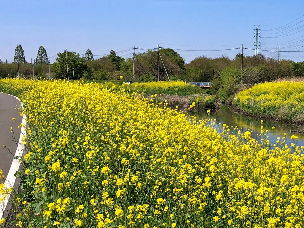 f:id:miwa3k:20210513173210j:plain