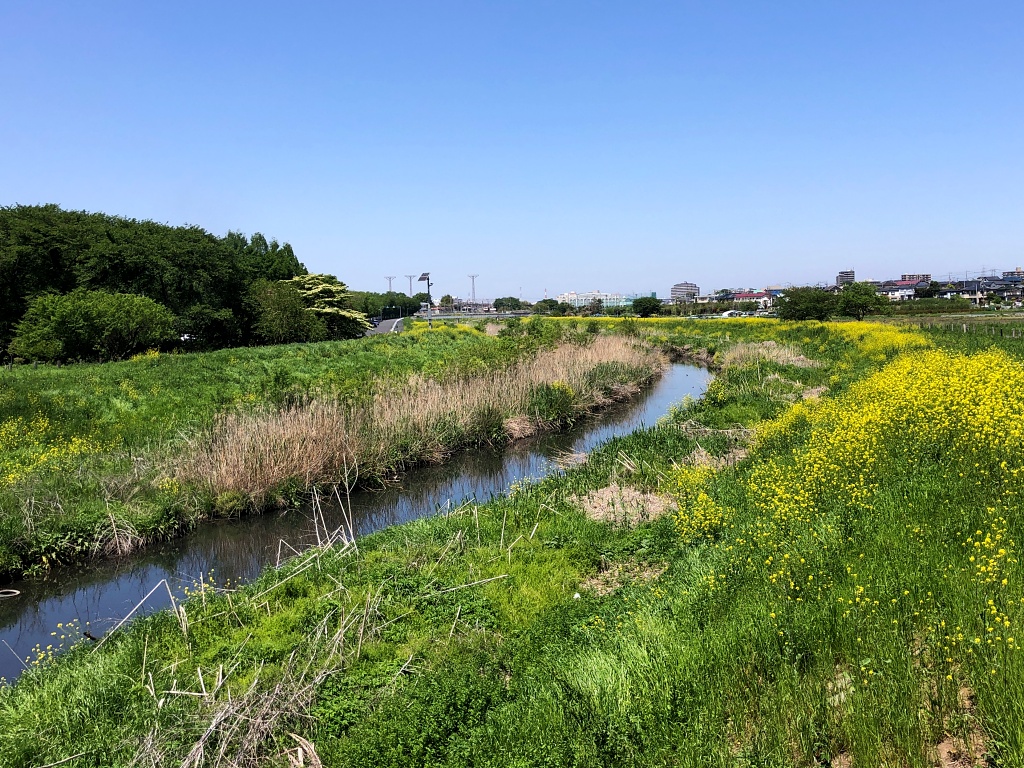 f:id:miwa3k:20210513173409j:plain