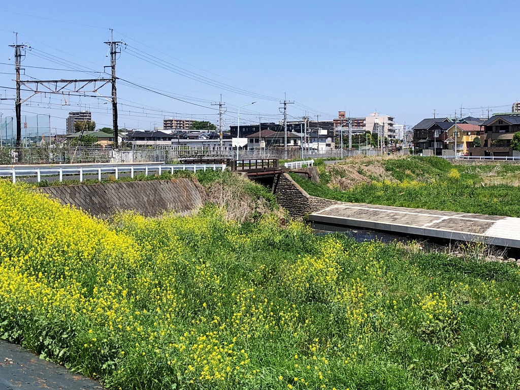 f:id:miwa3k:20210513173419j:plain