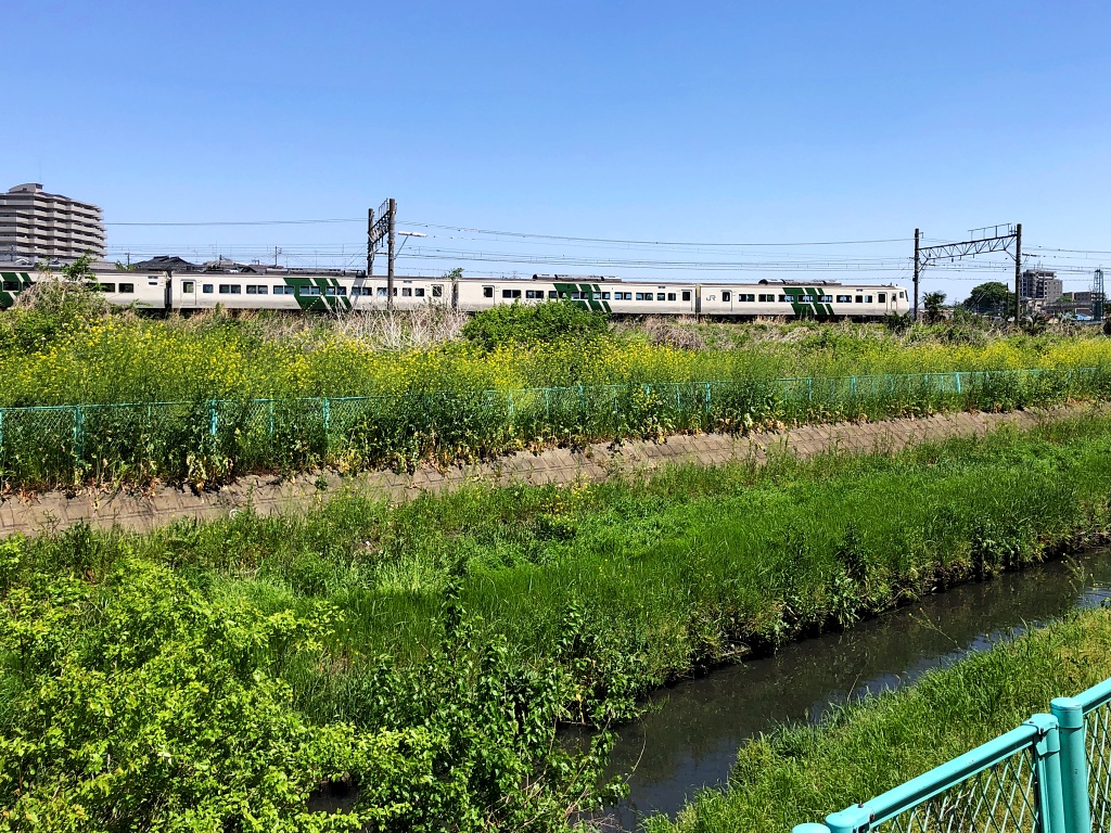 f:id:miwa3k:20210513173533j:plain