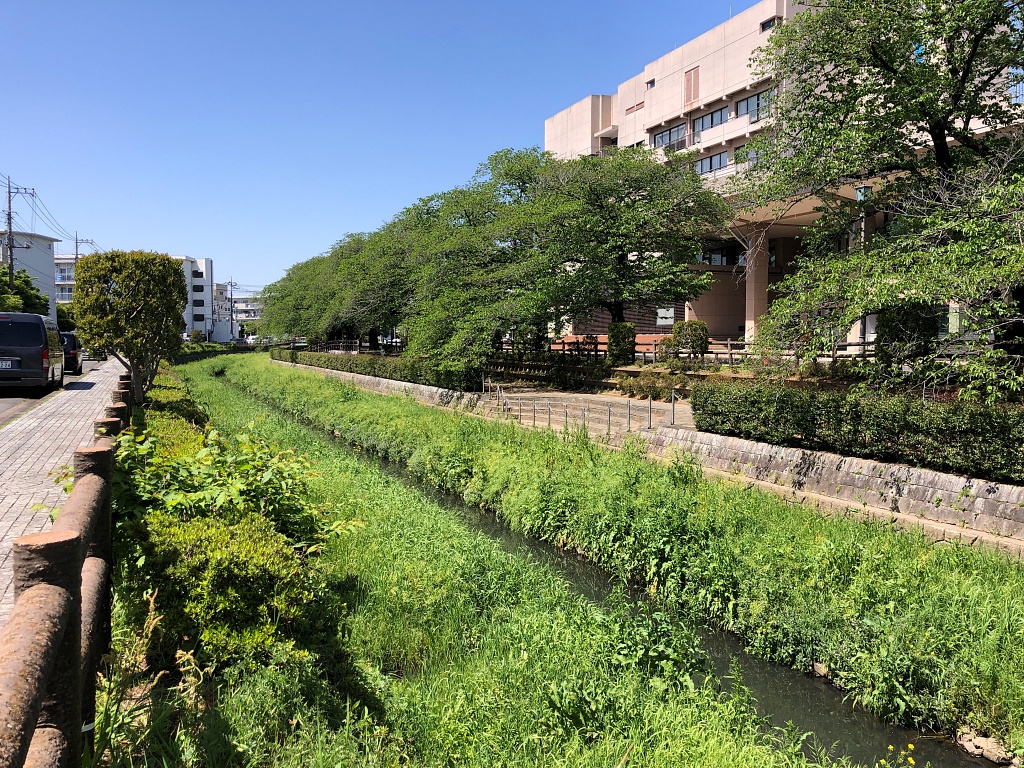 f:id:miwa3k:20210517154405j:plain