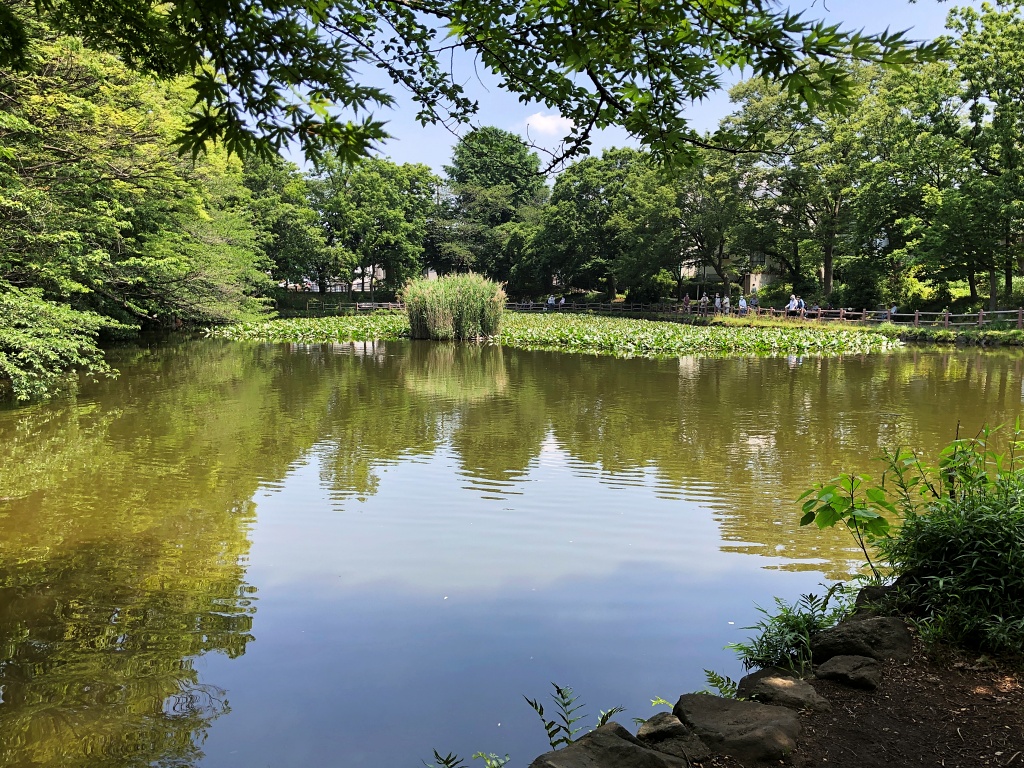 f:id:miwa3k:20210527112742j:plain