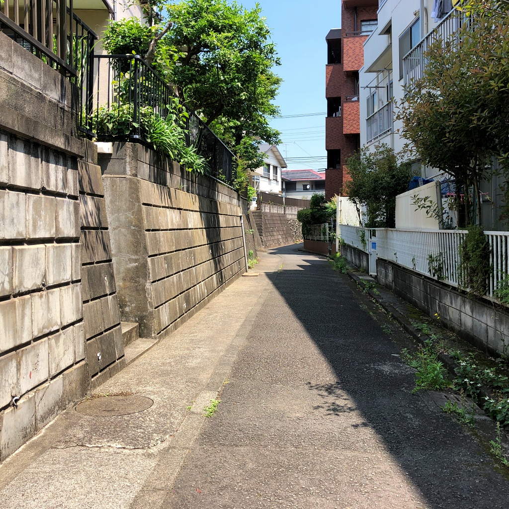 f:id:miwa3k:20210527112821j:plain