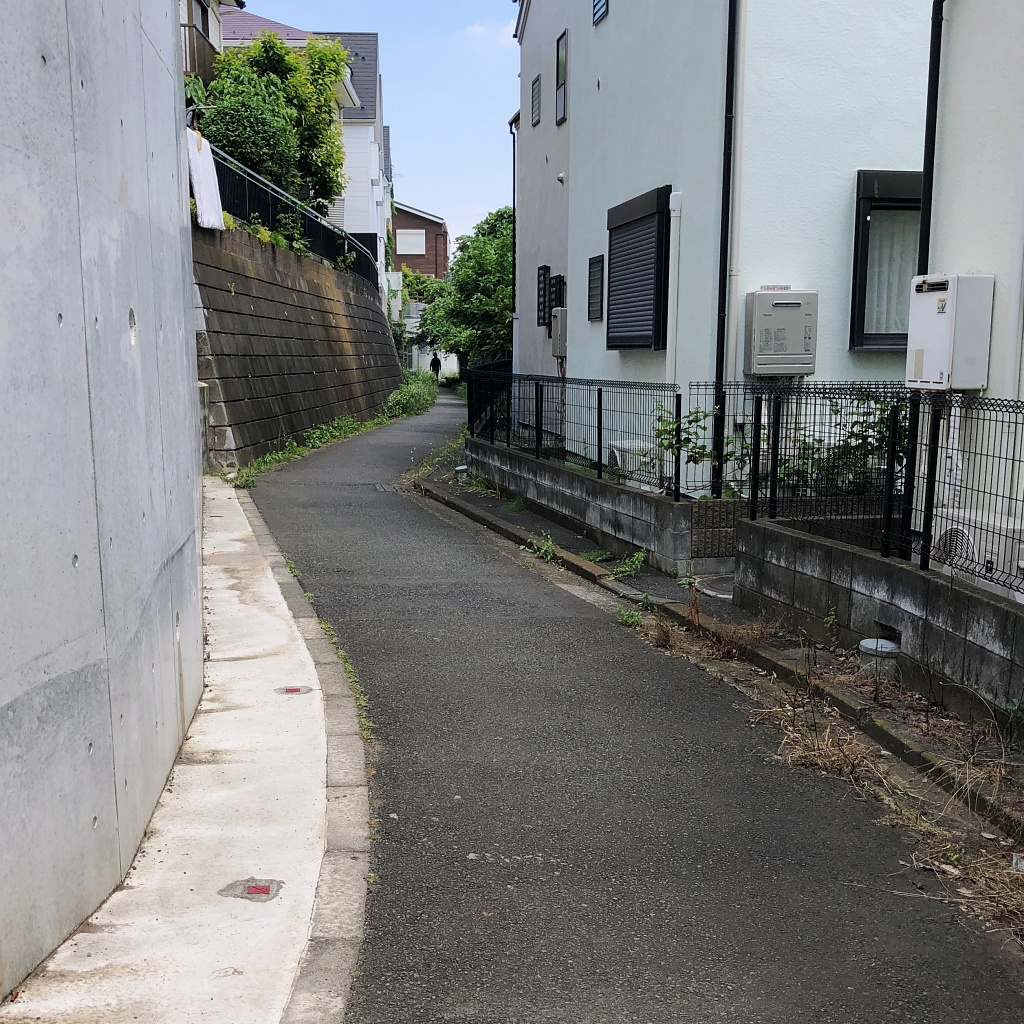 f:id:miwa3k:20210527112915j:plain