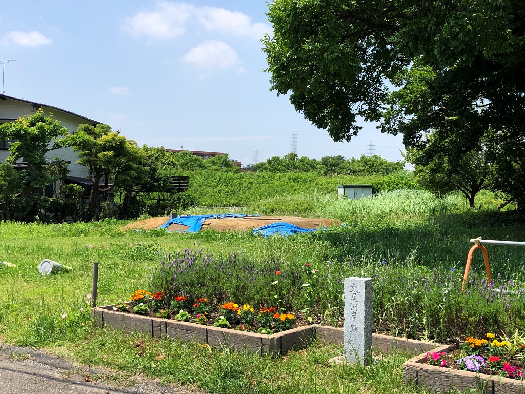 f:id:miwa3k:20210531114349j:plain