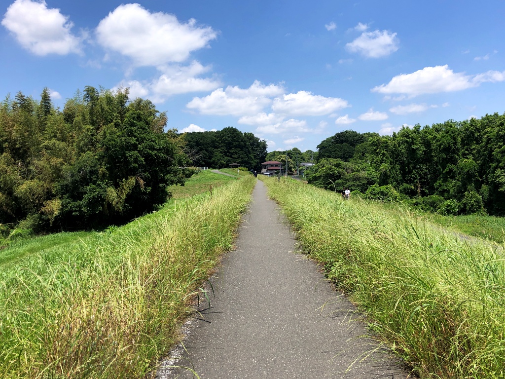 f:id:miwa3k:20210604215205j:plain